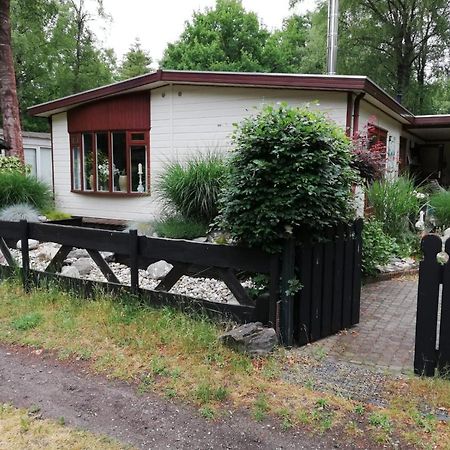 הוילה Diessen Sfeervol, Ruim En Luxe Chalet In Bosrijke Omgeving מראה חיצוני תמונה