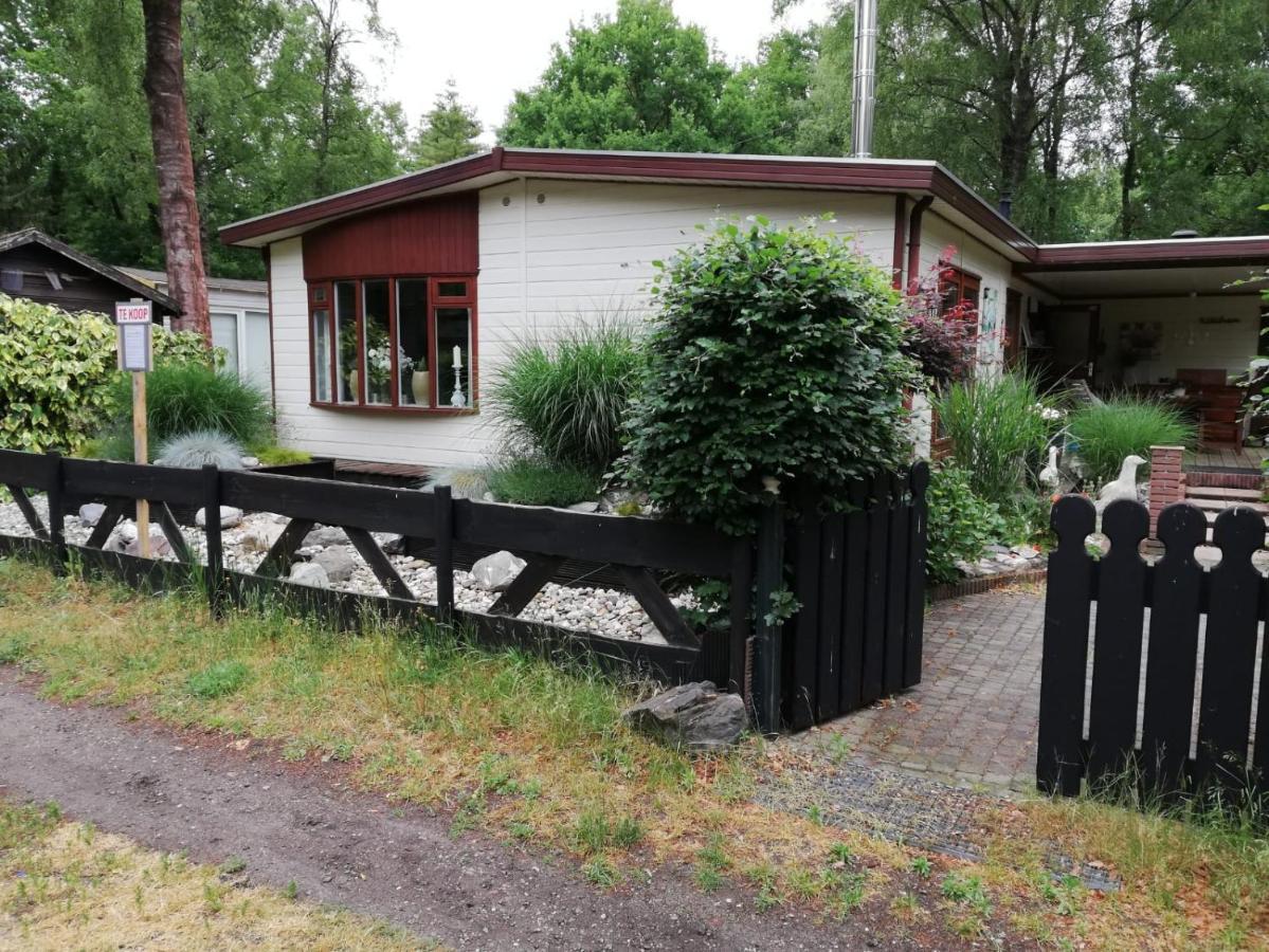הוילה Diessen Sfeervol, Ruim En Luxe Chalet In Bosrijke Omgeving מראה חיצוני תמונה